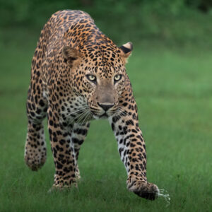 img 4920 scaled 1.jpg