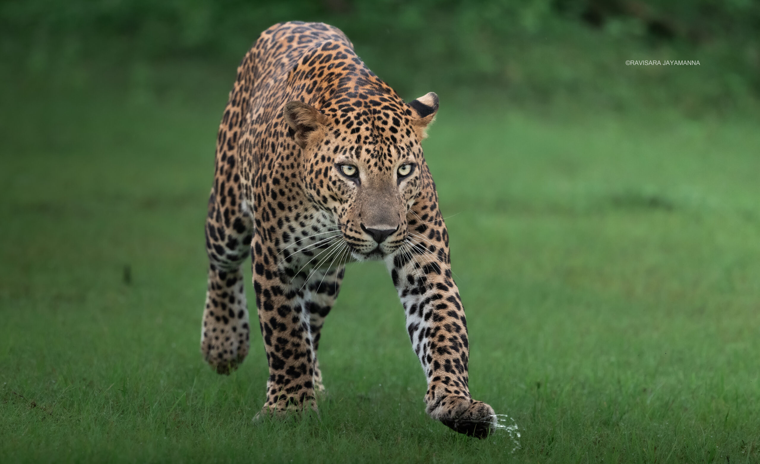 img 4920 scaled 1.jpg
