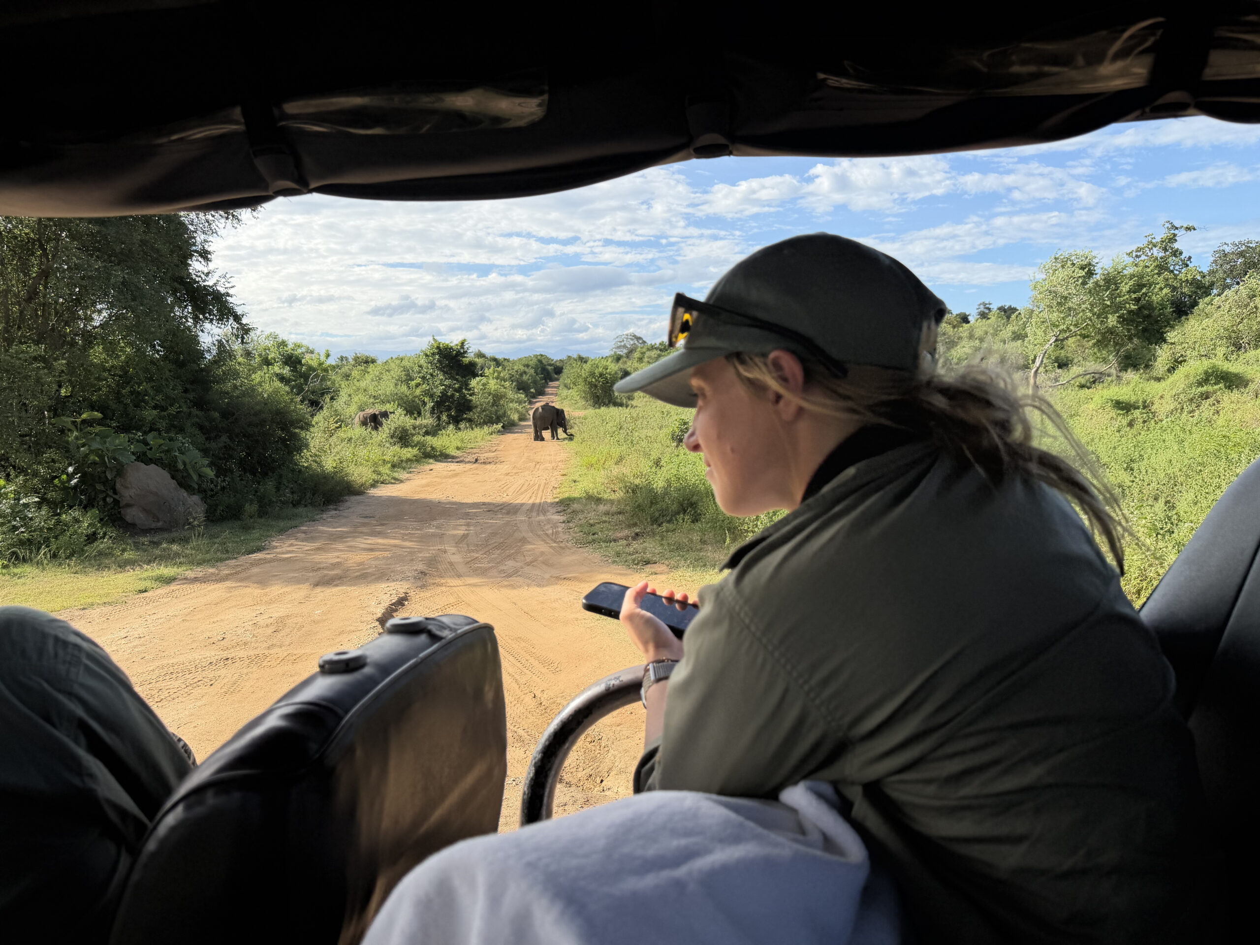 Safari lodge accommodation